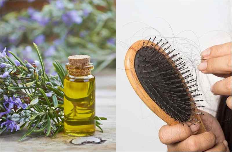 2 Ways To Use Rosemary Oil For Hair Growth