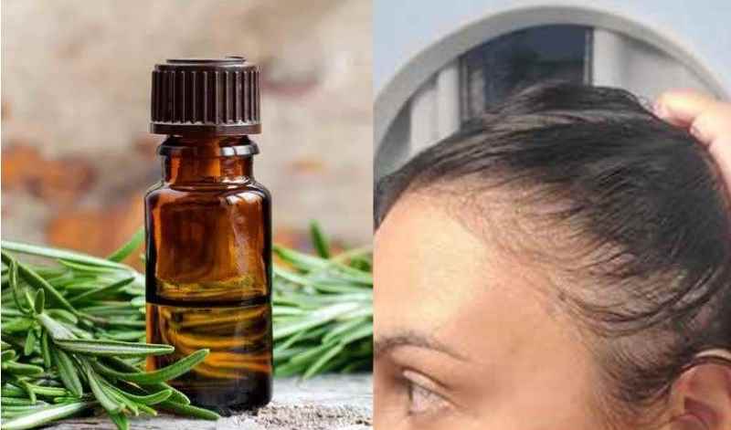 Rosemary Oil for Hair Growth