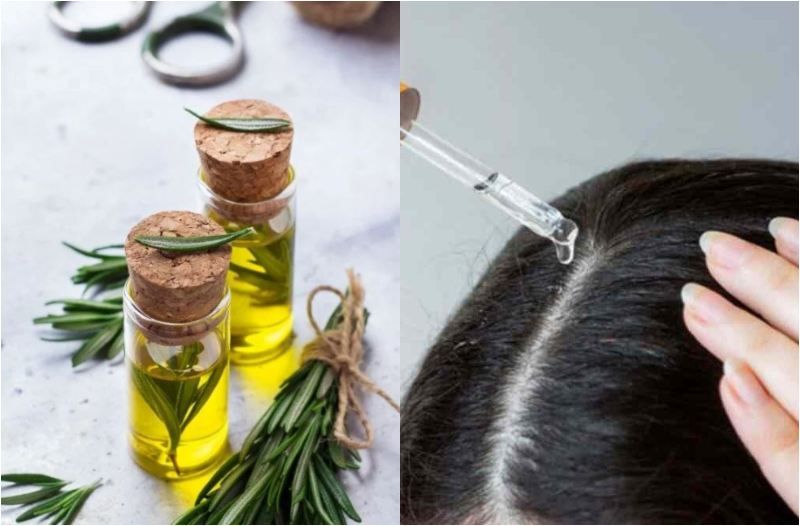 Rosemary oil hair fall