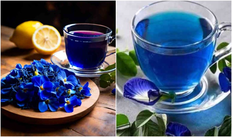 Beauty Benefits of Drinking Blue Tea