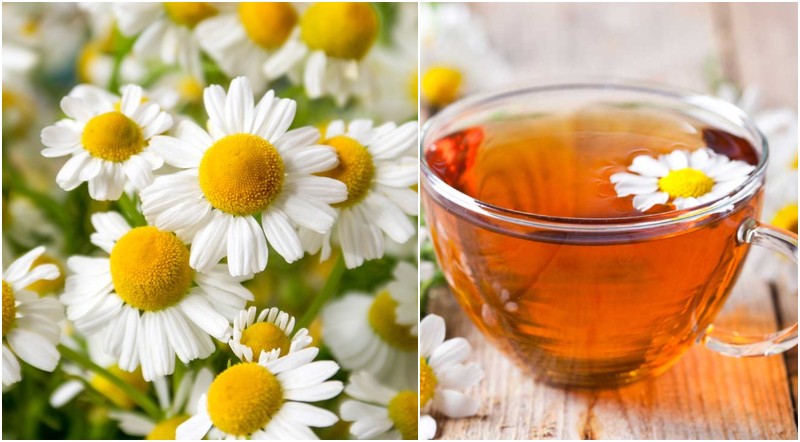 Chamomile bedtime tea for weight loss