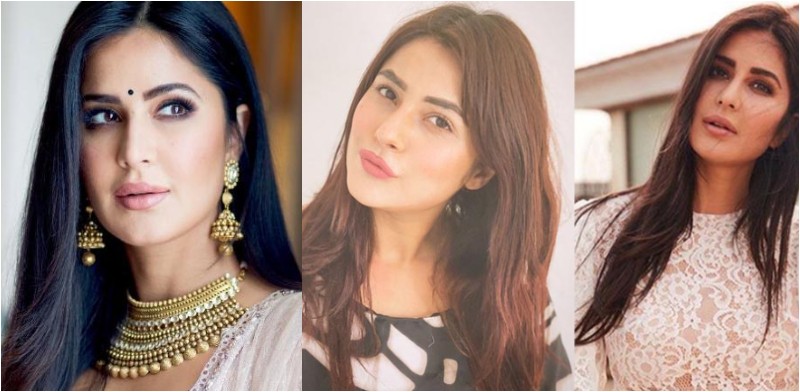 4 Popular Look Alikes of Katrina Kaif